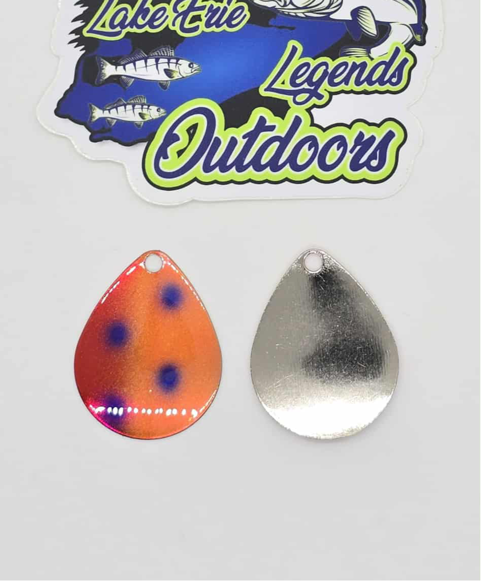 L.D.S.