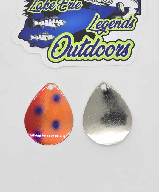 L.D.S.